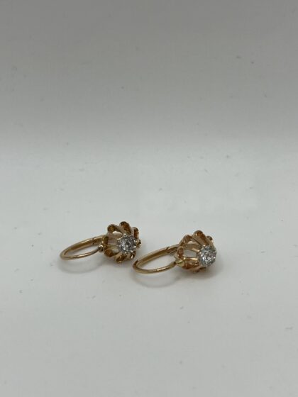 img 4346 scaled 1.jpg