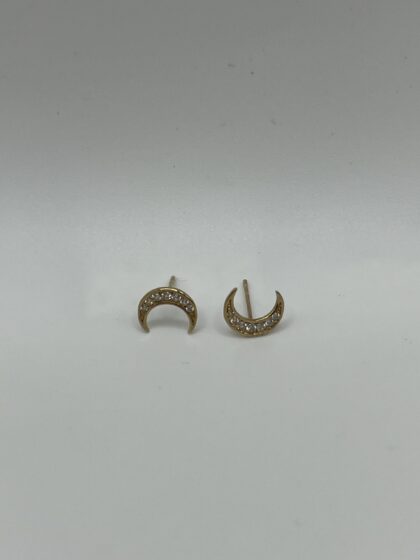 img 4351 scaled 1.jpg