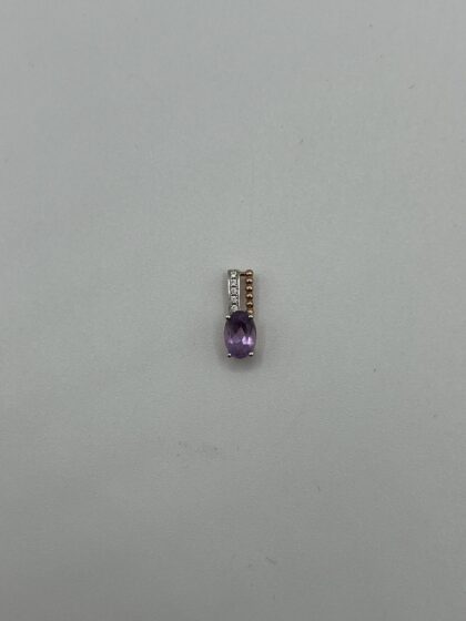 img 4356 scaled 1.jpg