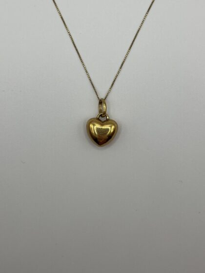 img 5377 scaled 1.jpg